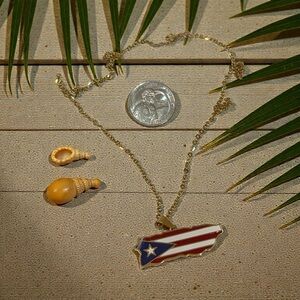 DTMF Elegant stainless steel PR Flag/Map pendant gold neckllace❤️🇵🇷😂